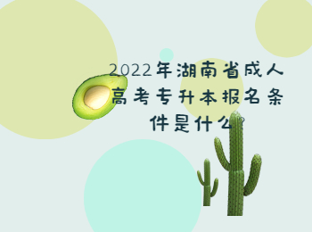 湖南成人高考信息網 湖南成考專升本報名條件