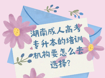湖南省成人高考網 湖南成考專升本培訓機構