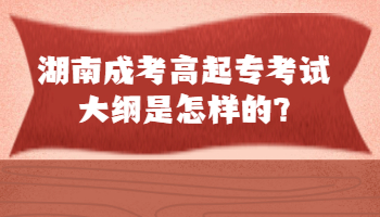 湖南成考高起?？荚嚧缶V